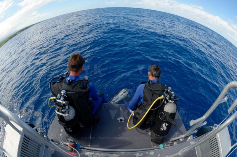 Immersion avec la brigade nautique de la gendarmerie de La Reunion