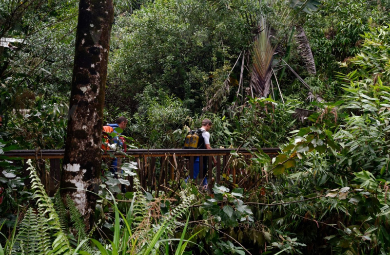 Immersion avec la brigade nautique de la gendarmerie de La Reunion