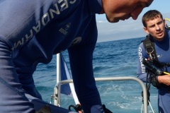 Immersion avec la brigade nautique de la gendarmerie de La Reunion