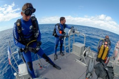 Immersion avec la brigade nautique de la gendarmerie de La Reunion