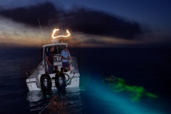 Immersion avec la brigade nautique de la gendarmerie de La Reunion