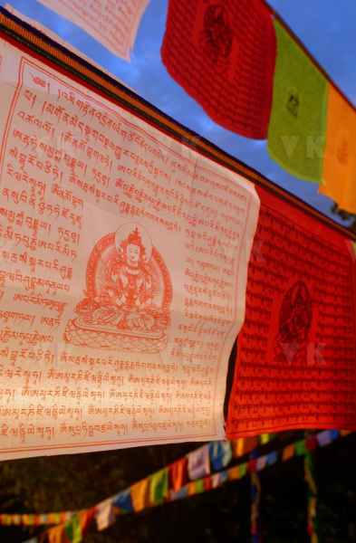 Inauguration du 1er temple bouddhiste tibetain de la zone sud de l'ocean Indien - Inauguration of the first Tibetan Buddhist temple in the southern Indian Ocean