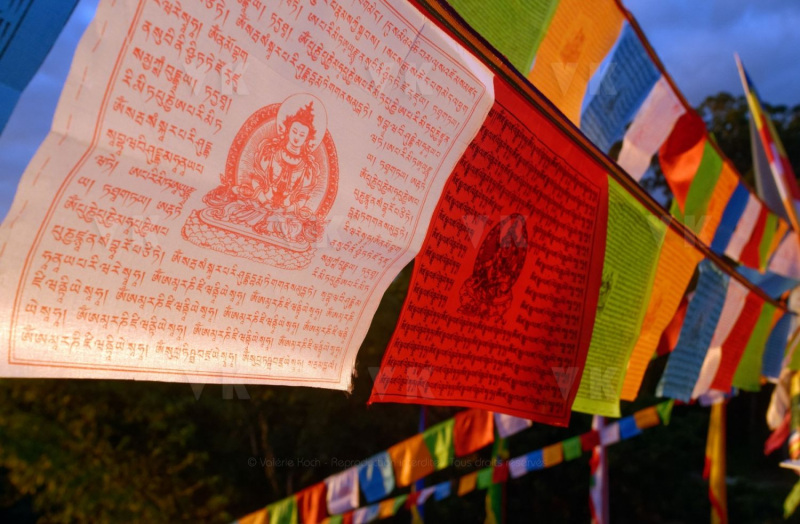 Inauguration du 1er temple bouddhiste tibetain de la zone sud de l'ocean Indien - Inauguration of the first Tibetan Buddhist temple in the southern Indian Ocean
