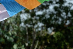 Inauguration du 1er temple bouddhiste tibetain de la zone sud de l'ocean Indien - Inauguration of the first Tibetan Buddhist temple in the southern Indian Ocean