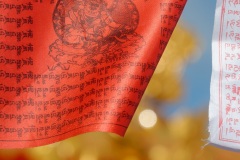 Inauguration du 1er temple bouddhiste tibetain de la zone sud de l'ocean Indien - Inauguration of the first Tibetan Buddhist temple in the southern Indian Ocean