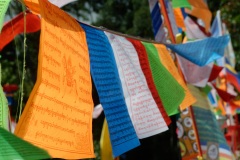 Inauguration du 1er temple bouddhiste tibetain de la zone sud de l'ocean Indien - Inauguration of the first Tibetan Buddhist temple in the southern Indian Ocean