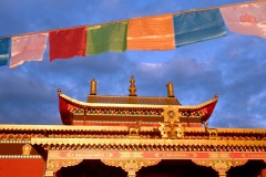 Inauguration du 1er temple bouddhiste tibetain de la zone sud de l'ocean Indien - Inauguration of the first Tibetan Buddhist temple in the southern Indian Ocean