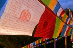Inauguration du 1er temple bouddhiste tibetain de la zone sud de l'ocean Indien - Inauguration of the first Tibetan Buddhist temple in the southern Indian Ocean