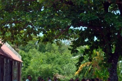 Visite de Jean-Marc Ayrault, président de la Mission de la mémoire de l’esclavage, des traites et de leurs abolitions