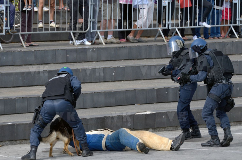 Journees de la Securite interieure