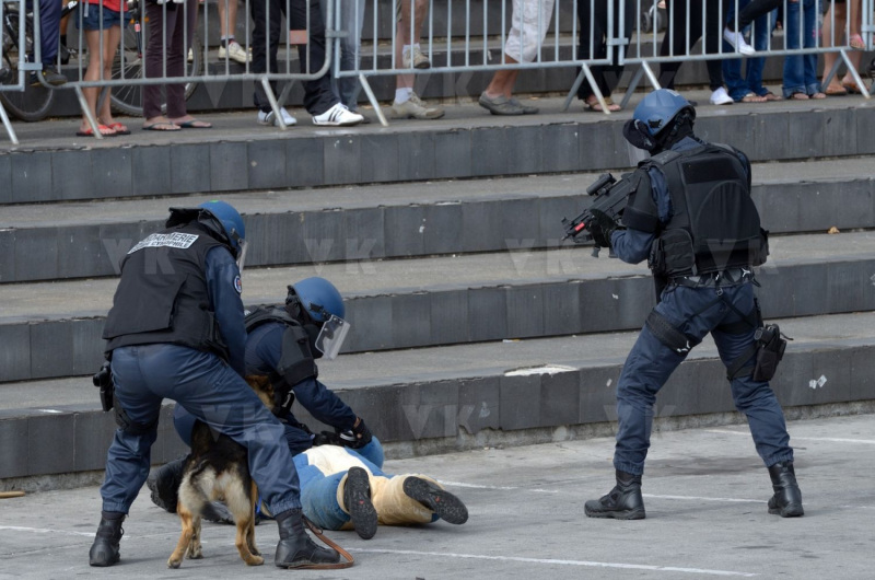 Journees de la Securite interieure