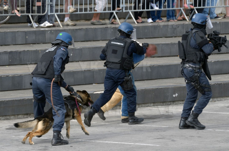 Journees de la Securite interieure