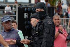 Journees de la Securite interieure