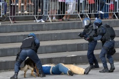 Journees de la Securite interieure
