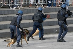 Journees de la Securite interieure