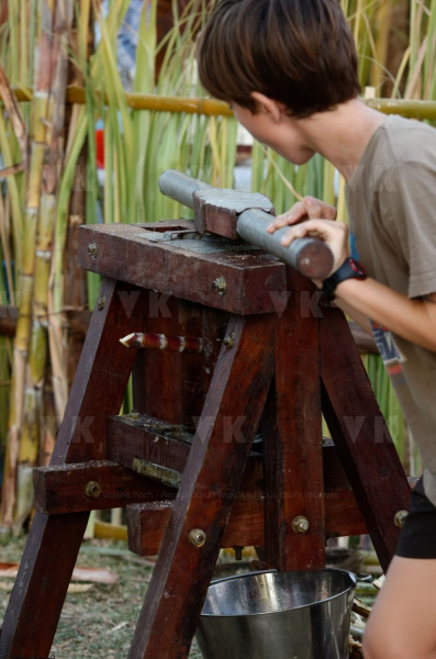 Domaine de Villele classe monument historique et 170e anniversaire de l'abolition de l'esclavage a La Reunion