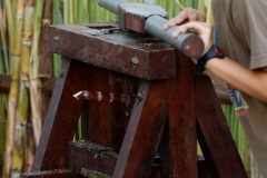 Domaine de Villele classe monument historique et 170e anniversaire de l'abolition de l'esclavage a La Reunion