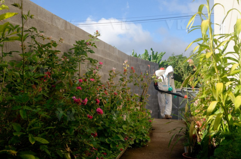 Les FORMISC engages dans la lutte contre la dengue a La Reunion. The Civil Security soldiers (FORMISC) engaged in the fight against dengue at La Reunion