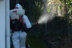 Les FORMISC engages dans la lutte contre la dengue a La Reunion. The Civil Security soldiers (FORMISC) engaged in the fight against dengue at La Reunion