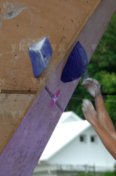 Manapany Festival 2014