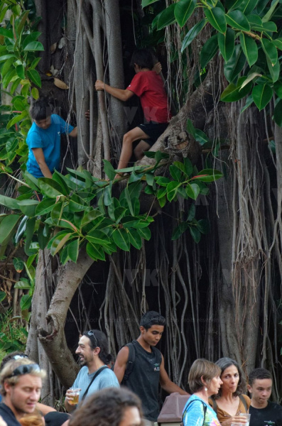 Manapany Festival 2014