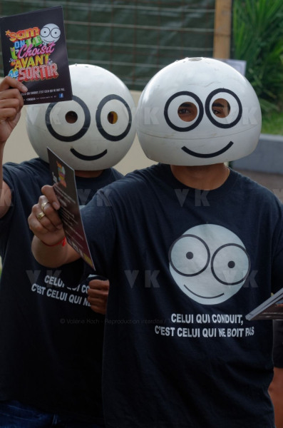 Manapany Festival 2014