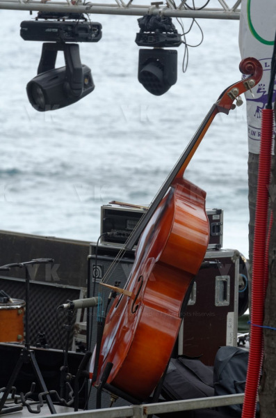 Manapany Festival 2014