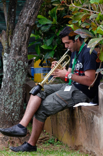 Manapany Festival 2014