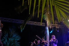 Manapany Festival 2014
