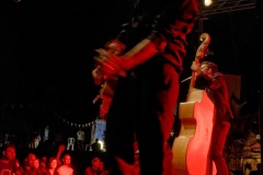 Manapany Festival 2014