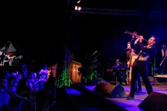 Manapany Festival 2014