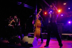 Manapany Festival 2014