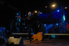 Manapany Festival 2014