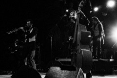 Manapany Festival 2014