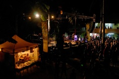 Manapany Festival 2014