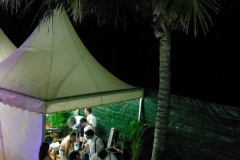 Manapany Festival 2014