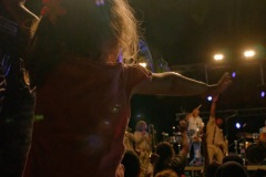 Manapany Festival 2014