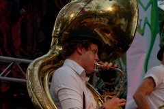 Manapany Festival 2014