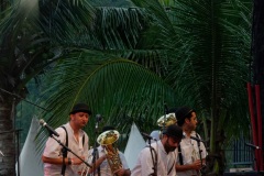 Manapany Festival 2014