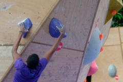 Manapany Festival 2014