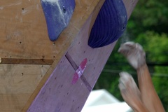 Manapany Festival 2014