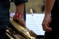 Manapany Festival 2014