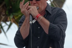 Manapany Festival 2014