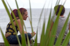 Manapany Festival 2014