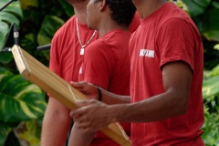 Manapany Festival 2014