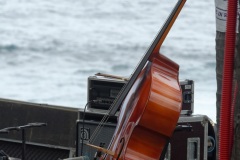 Manapany Festival 2014