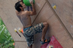 Manapany Festival 2014