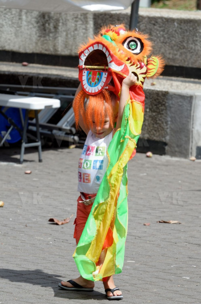Nouvel an chinois et fête des Lanternes