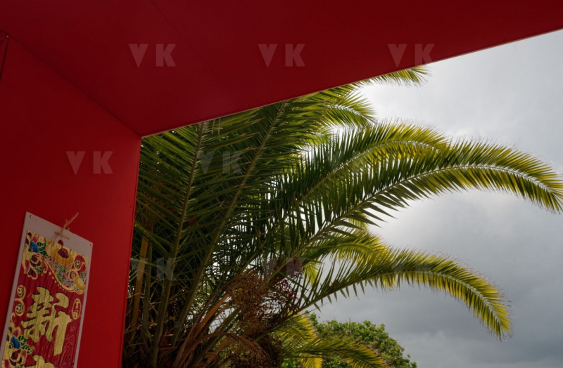 Nouvel an chinois et fête des Lanternes