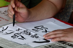 Nouvel an chinois et fête des Lanternes